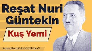 Reşat Nuri Güntekin  Kuş Yemi Sesli Hikaye [upl. by Eronaele]