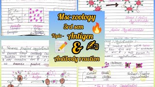 antigen and antibody reaction msc zoology 3rd sem notes immunology ✍️📝✨ [upl. by Eiramnna192]