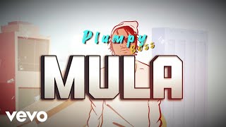 Plumpy Boss  Mula Visualizer [upl. by Derwin]