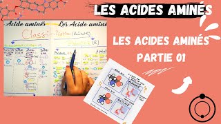 📣Les Acides Aminés1 Leurs structuresAstuce pour les apprendre اقوى طريقة لحفظ الاحماض الامينية [upl. by Seleta]