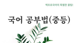 국어공부법예비중초등고학년중등국어책 문제집 추천 [upl. by Llorrad]