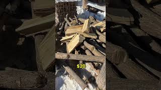 Planting Black Locust Trees  Free Fenceposts and Firewood [upl. by Koerlin]