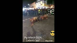 😈leibnitzer lauf Steiermark😈 [upl. by Lothario]