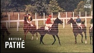 Royal Ascot 1964 [upl. by Engvall88]