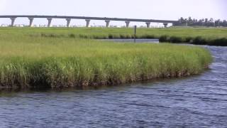 Road to Nowhere Manahawkin NJ [upl. by Enirehs353]