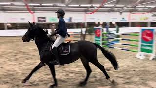 Katharina Karla by Namelus r x corland  1m35 NIC Salland 6th place [upl. by Nyssa]