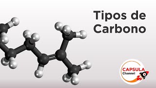 Tipos de CarbonoTutorial FACIL y SENCILLO 🔥🔥🔥 [upl. by Avehsile]