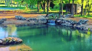 Backyard Swim Pond That Stays Crystal Clear Water In DFW Texas [upl. by Sivatco]