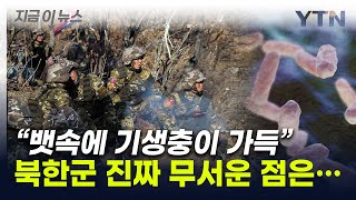 quot기생충 가득한 北 군인 진짜 무서운 건quot 외신이 주목한 전술 지금이뉴스  YTN [upl. by Ecinereb]