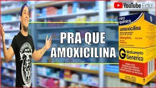 BioSaúde 36│AMOXICILINA PRA QUE SERVE E CONTRA INDICAÇÕES [upl. by Rexferd]