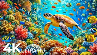 NEW 11HR Stunning 4K Underwater Wonder • Explore Colorful Marine Life amp Relaxing Ocean Views [upl. by Lawley946]