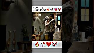 True Love  WhatsApp status  romantic status  lovequotes love  lovestatus viral trending [upl. by Gnus45]