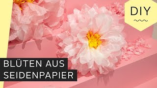 DIY Blüten aus Seidenpapier basteln  Roombeez – powered by OTTO [upl. by Myra]