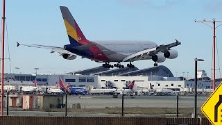 Asiana Airlines A380 landing at Los Angeles International Airport laxplanespottingaviation [upl. by Ysnil]