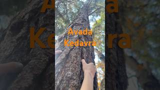 Avada Kedavra harrypotter funny humor avadakedavra [upl. by Nyrret]