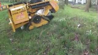 Rayco RG1635 Tracked stump grinder Tracking [upl. by Edmonda]