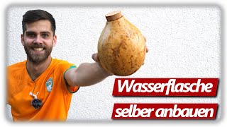 Funktioniert das Wasserflasche wie früher  Flaschenkürbis Kalebassen Verarbeitung in Deutschland [upl. by Iila]