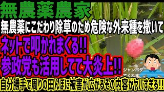 【無農薬農家】無農薬にこだわり除草のため危険な外来種を撒いてネットで叩かれまくる参政党も活用してて大炎上自分勝手で周りの田んぼに被害が広がるその内容がヤバすぎる [upl. by Elita253]