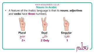 Beginners Arabic  Lesson 13  Dual Nouns in Arabic [upl. by Nerrej]