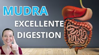 Mudra pour Digestion Rapide [upl. by Phira]