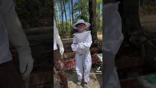 Winnabow Backwoods Homestead  LLC new bee keepers [upl. by Hurff]