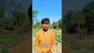 Pakeped par paka capital 😅 fanny hurrrhcomedy youtubeshorts sorts hurrrh harveerojha [upl. by Adnical]