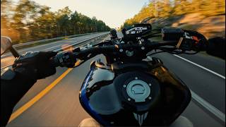 Yamaha MT 09 SP 2020 Performance  Top Speed  0100  Wheelies 4K [upl. by Humph]