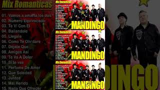 Grupo Mandingo ❤️ Mix Romanticas 2024 🌹 30 Exitos Sus Mejores Canciones❤️ [upl. by Clardy]