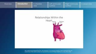 Key screening views of the fetal heart  Part 2  Introduction [upl. by Llennhoj681]