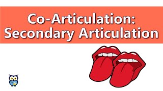 CoArticulationː Secondary Articulation [upl. by Eenel]