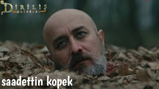 sadettin kopek death scene in ertugrul english subtitlesertugrul gazi [upl. by Jack884]