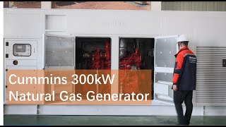 300kW 350kW 400kW Cummins natural gas and biogas generator with Cummins K19N series gas engine [upl. by Eillak]