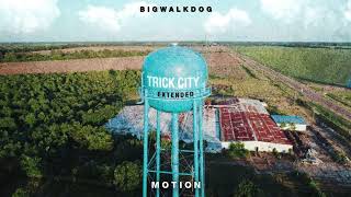 BigWalkDog  Motion Official Audio [upl. by Ciredor]