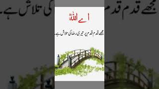 urduquotes IslamicQuotes IslamicQuotesinUrdu IslamicQuotesinArabic [upl. by Ardnassak]