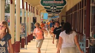 Rehoboth Beach amp Dewey Beach Resort Area Video  1 Minute [upl. by Guerra]