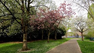 A walking tour in Londons Pymmes park [upl. by Merc134]