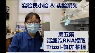 Visual Protocol  5  Traditional way of RNA isolationextraction from live cells  实验员小哈amp实验系列 第五集 [upl. by Kono]