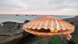 The real giant pearls come from Pacific scallops Delicious Scallop Dishes [upl. by Krilov]