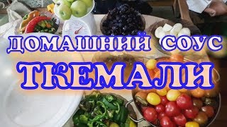 Вкусный грузинский СОУС ТКЕМАЛИ из терна НА ЗИМУ РЕЦЕПТ ПРИГОТОВЛЕНИЯ [upl. by Aralomo]