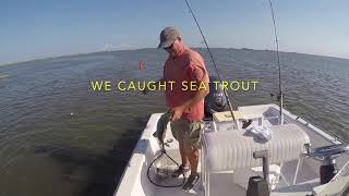 Trout fishing St Simons Island [upl. by Jaffe789]