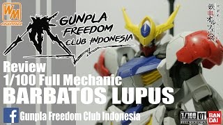 Review  1100 FM BARBATOS LUPUS [upl. by Leohcin908]