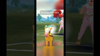 🥇 Best Buddy Diggersby has UNREAL BULK 💪🏻💣🫣 gobattleleauge pokemon pokemongo pokemongopvp [upl. by Spindell]