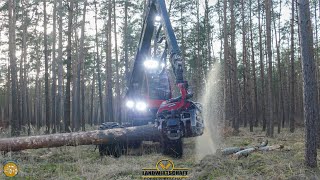 Komatsu 931xc Harvester im Starkholz Holzerntemaschine im Einsatz der Kampf gegen den Borkenkäfer [upl. by Sievert]