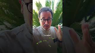 Quedem a “La Selva” 🌴🦟🌿 LaSelva3Cat Som3Cat català XavierGraset [upl. by Hcaz]