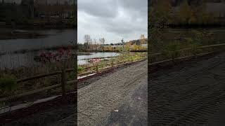 Chinook Wind Estuary Tukwila WA [upl. by Ytinirt]