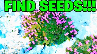 How To Find The BEST Minecraft Seeds  Java amp Bedrock [upl. by Eaneg586]