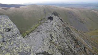 Sharp Edge Blencathra September 29th 2024 down [upl. by Ramad284]