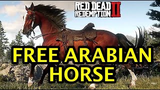 Red Dead Redemption 2 How to Get A Free Arabian Horse RDR2 [upl. by Nybor724]