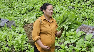 Harvest Green Vegetables Goes To Market Sell  Cooking  Garden  Ly Thi Ca [upl. by Leirda]