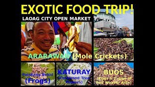 BEEauty and Beyond  Episode 12 EXOTIC Food Trip Laoag City Open Market [upl. by Nnairek]